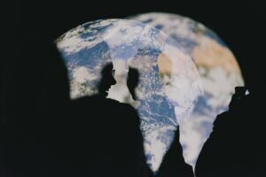 Silhuetas de personas frente a una imagen de la Tierra.