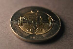 Moneda de 50 kuruş con diseño detallado.
